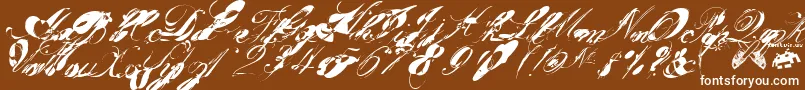 garglenutz fontvir us-Schriftart – Weiße Schriften auf braunem Hintergrund