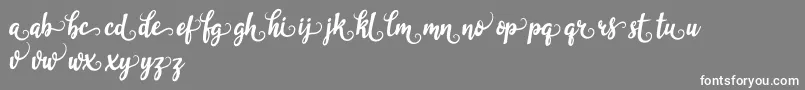 garlixbrown Font – White Fonts on Gray Background