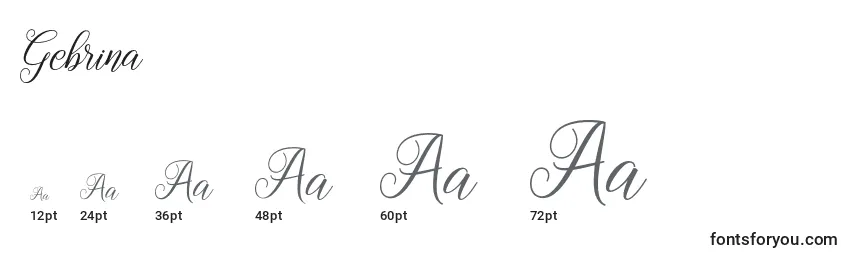 Gebrina Font Sizes