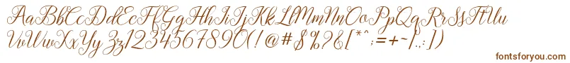 Gebrina Font – Brown Fonts on White Background