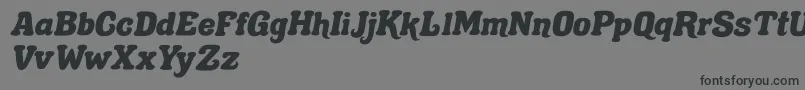 Gecko Lunch Font – Black Fonts on Gray Background