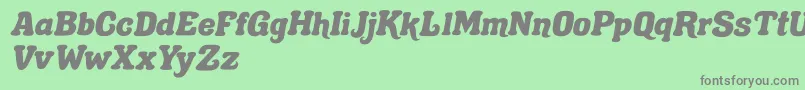 Gecko Lunch Font – Gray Fonts on Green Background