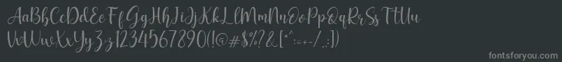 フォントGeishela – 黒い背景に灰色の文字