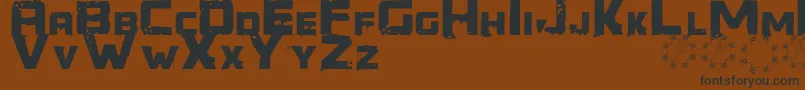 Generator REX Font – Black Fonts on Brown Background