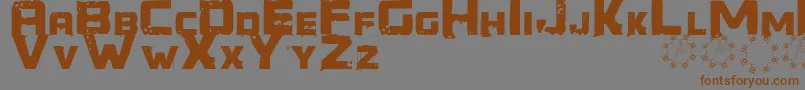 Generator REX Font – Brown Fonts on Gray Background