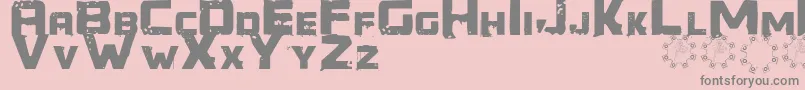 Generator REX Font – Gray Fonts on Pink Background