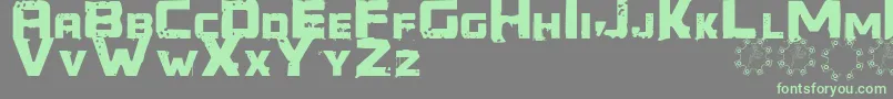 Generator REX Font – Green Fonts on Gray Background