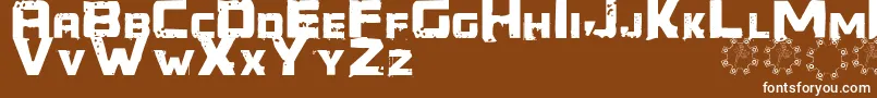 Więcej informacji o czcionce Generator REX Czcionka Generator REX – białe czcionki na brązowym tle