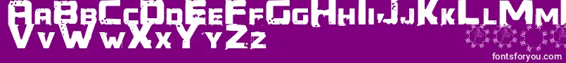 Generator REX-Schriftart – Weiße Schriften auf violettem Hintergrund