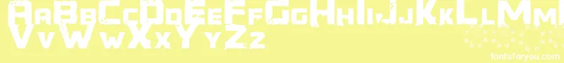 Generator REX Font – White Fonts on Yellow Background