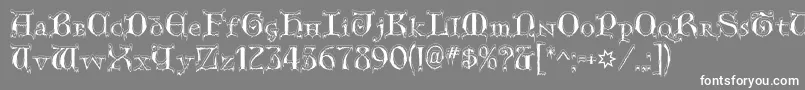GenericUncialsSnowCapped Font – White Fonts on Gray Background