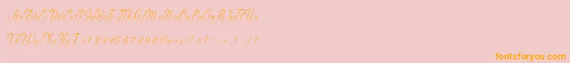 Gentleman Font – Orange Fonts on Pink Background