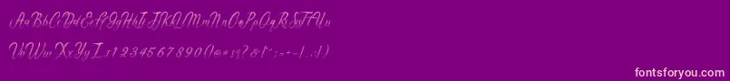 Gentleman Font – Pink Fonts on Purple Background