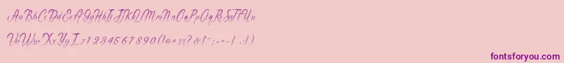 Gentleman Font – Purple Fonts on Pink Background