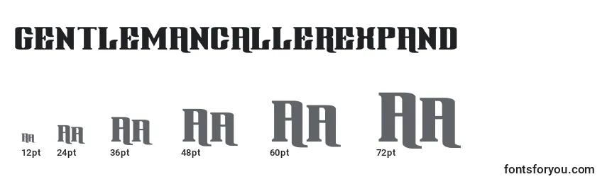 Размеры шрифта Gentlemancallerexpand (127809)