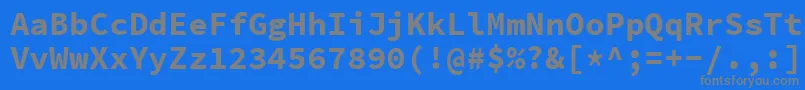 SourcecodeproBold Font – Gray Fonts on Blue Background