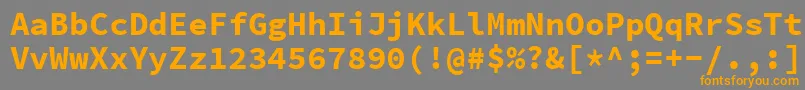 SourcecodeproBold Font – Orange Fonts on Gray Background