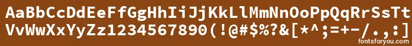 フォントSourcecodeproBold – 茶色の背景に白い文字