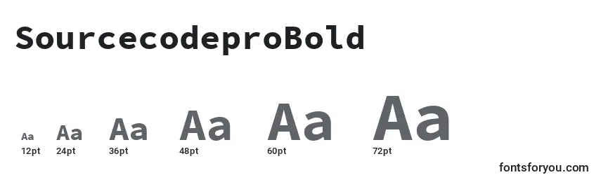 Размеры шрифта SourcecodeproBold