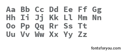 SourcecodeproBold Font