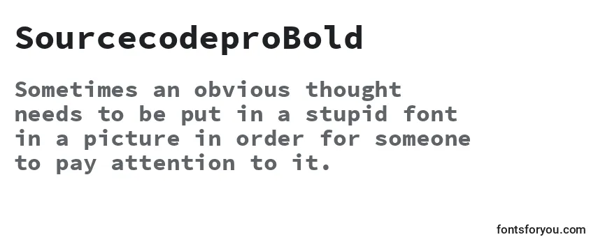 Шрифт SourcecodeproBold