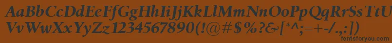 BirkaBolditalic Font – Black Fonts on Brown Background