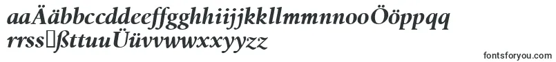 BirkaBolditalic-fontti – saksalaiset fontit