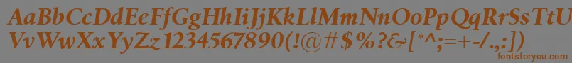 BirkaBolditalic Font – Brown Fonts on Gray Background