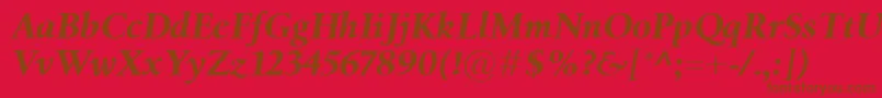 BirkaBolditalic Font – Brown Fonts on Red Background