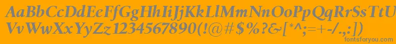 BirkaBolditalic Font – Gray Fonts on Orange Background