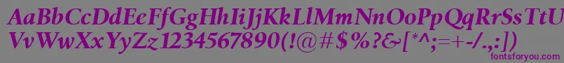 BirkaBolditalic Font – Purple Fonts on Gray Background