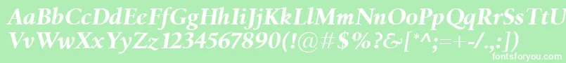 BirkaBolditalic-fontti – valkoiset fontit vihreällä taustalla