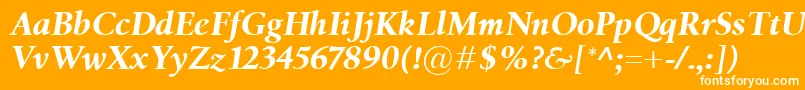 BirkaBolditalic Font – White Fonts on Orange Background