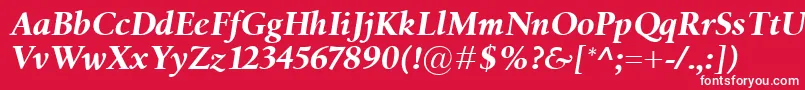BirkaBolditalic-Schriftart – Weiße Schriften auf rotem Hintergrund