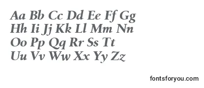 BirkaBolditalic Font