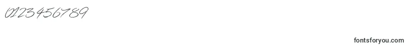 Ghosting Font – Fonts for Numbers and Digits