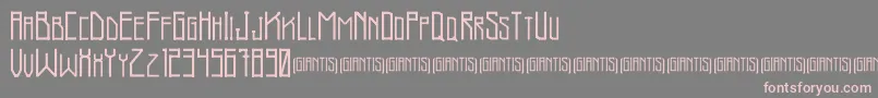 Giantis Demo Font – Pink Fonts on Gray Background