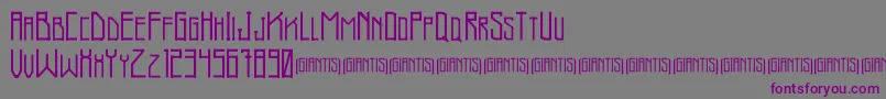 Giantis Demo-Schriftart – Violette Schriften auf grauem Hintergrund