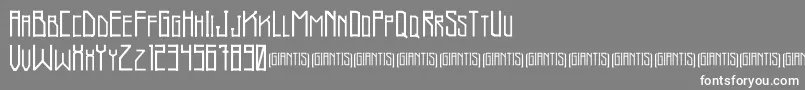 Czcionka Giantis Demo – białe czcionki na szarym tle