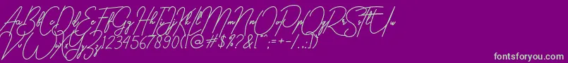 gilberta Font – Green Fonts on Purple Background