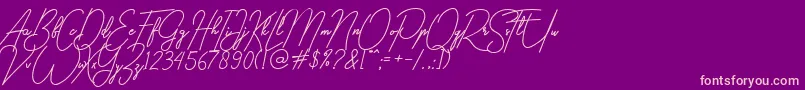 gilberta Font – Pink Fonts on Purple Background