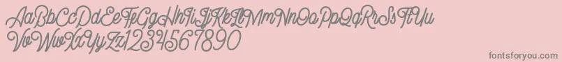 Gillnord Demo Font – Gray Fonts on Pink Background