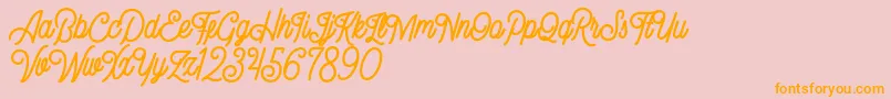 Gillnord Demo Font – Orange Fonts on Pink Background