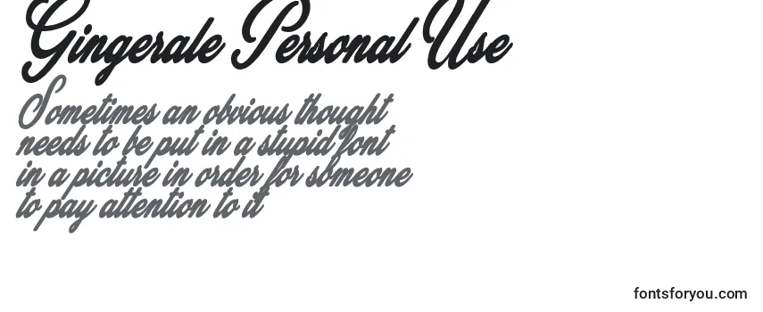 Gingerale Personal Use Font
