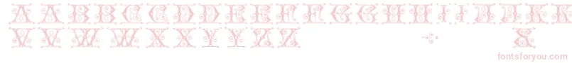 Gingerbread Font – Pink Fonts on White Background