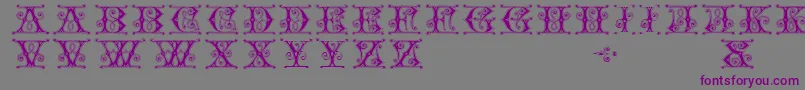 Gingerbread Font – Purple Fonts on Gray Background