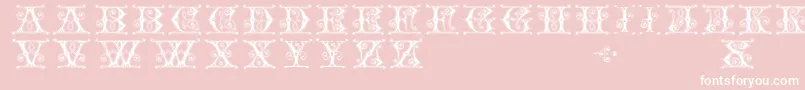 Gingerbread Font – White Fonts on Pink Background