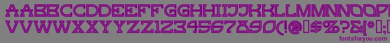 GINGP    Font – Purple Fonts on Gray Background