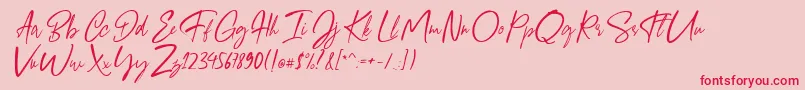 Giugliamore Font Font – Red Fonts on Pink Background