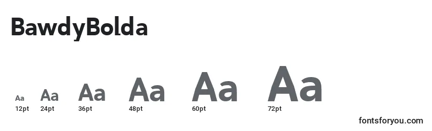 BawdyBolda font sizes